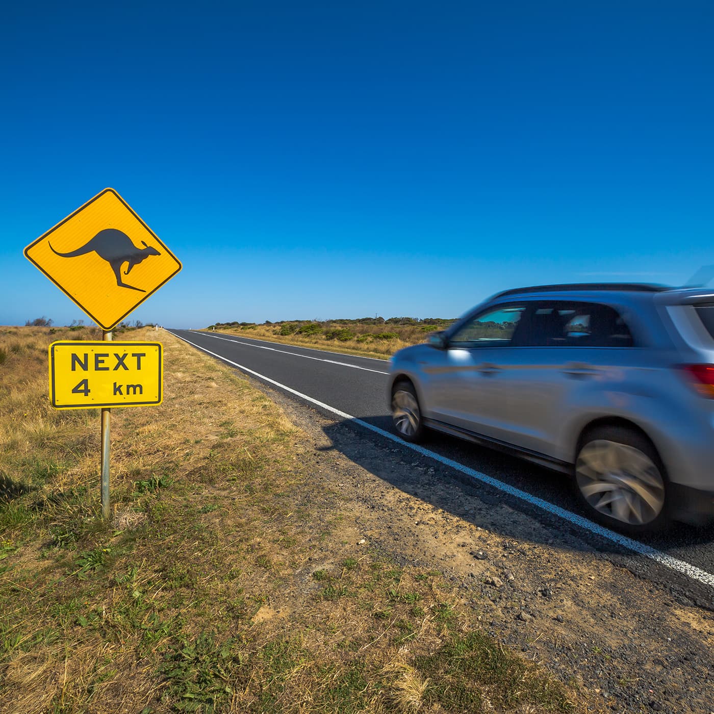 A silver car driving on a rural road in Tasmania, with a road sign asking drivers to watch out for kangaroos. A silver car driving on a rural road in Tasmania, with a road sign asking drivers to watch out for kangaroos.