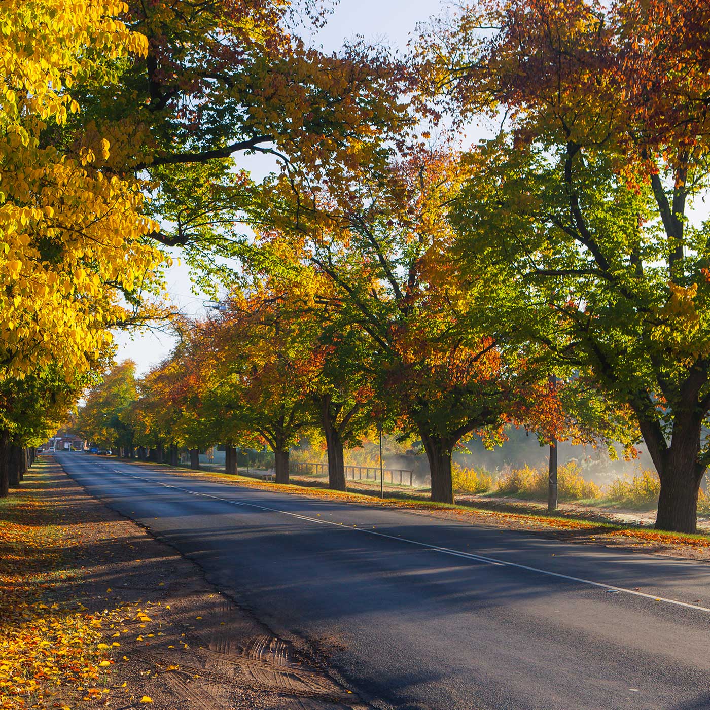 Autumn colours in the country town of Maldon, Victoria, Australia. Autumn colours in the country town of Maldon, Victoria, Australia.